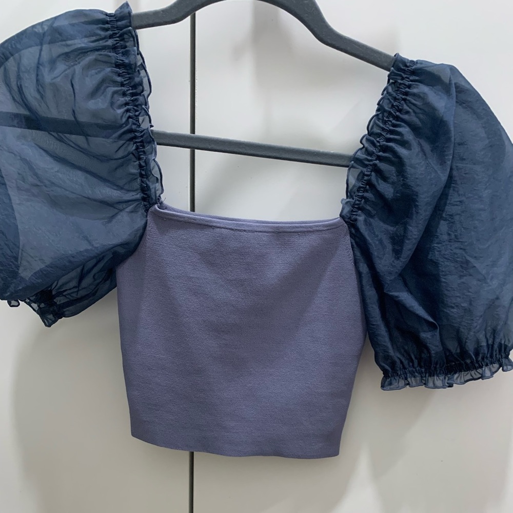 Aritzia blue cropped blouse